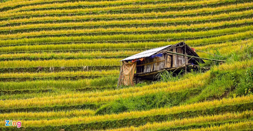 Tổng diện tích ruộng bậc thang Mù Cang Chải được xếp hạng Di tích quốc gia năm 2007 là 500 ha, gồm 3 xã La Pá Tẩn, Chế Cu Nha, Dế Xu Phình. Đây là một trong những danh thắng độc đáo bậc nhất tại Việt Nam.