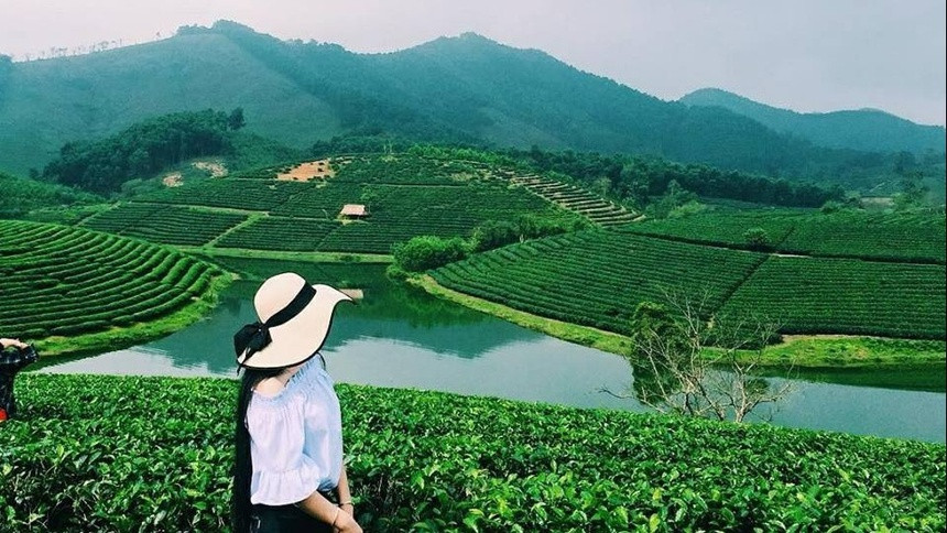 Thanh Chương là huyện nổi tiếng về nghề trồng chè ở Nghệ An, trong số rất nhiều vườn chè nơi đây, đảo chè ở xã Thanh An được xem là đảo chè đẹp nhất. Nơi đây có nhiều đảo chè xanh mướt, phong cảnh hữu tình, với những đồi chè được trồng theo kiểu bậc thang rất đẹp. Nhiều năm gần đây, đảo chè Thanh Chương là điểm đến lý tưởng của những người dân các huyện của Nghệ An và ngoại tỉnh, nhất là những bạn trẻ thích du lịch. Ảnh: Truyenhinhnghean.