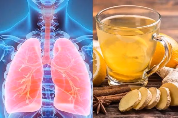 Nhung thuc pham la ‘may hut bui’ cho phoi, cang an cang loc sach phoi moi ngay