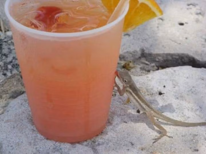 Loat khoanh khac ngay nang nong khien ban chi muon ruong ray mua he-Hinh-12