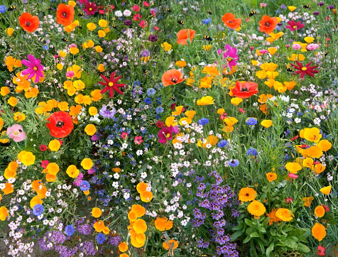 Ai sinh 3 thang Am nay gioi chiu dung, hai tien vao nua cuoi nam 2022