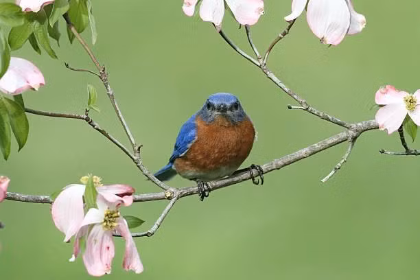 Sinh thang Am lich nay la nguoi kin dao, biet bung no vao thoi khac quan trong-Hinh-3