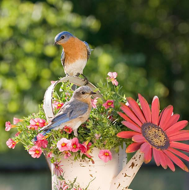 Sinh tháng Âm lịch này là người kín đáo, biết bùng nổ vào thời khắc quan trọng Sinh thang Am lich nay la nguoi kin dao, biet bung no vao thoi khac quan trong