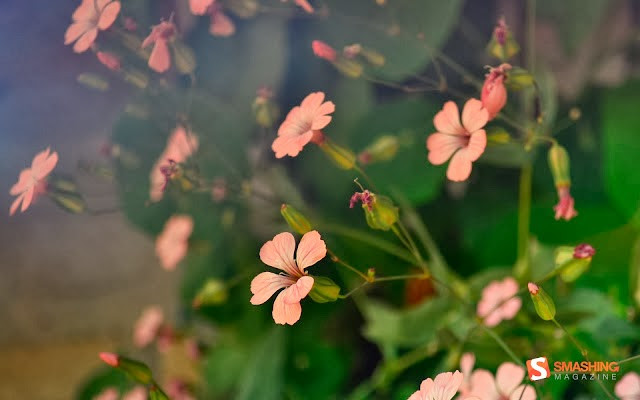 Khi lớn lên, họ có khả năng tính toán tốt, trí tuệ cảm xúc cao nên được lòng mọi người. Người làm kinh doanh sẽ phát tài, phát lộc, kiếm tiền về đầy túi.