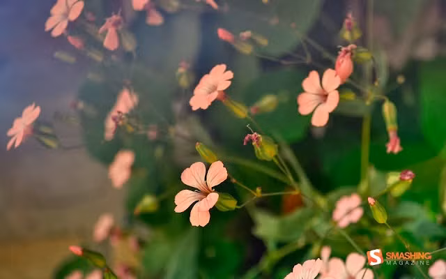 Khi lớn lên, họ có khả năng tính toán tốt, trí tuệ cảm xúc cao nên được lòng mọi người. Người làm kinh doanh sẽ phát tài, phát lộc, kiếm tiền về đầy túi.