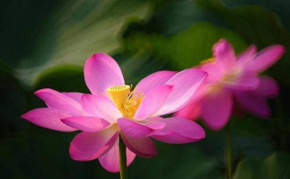  Đầu tiên, không tiết lộ thu nhập và tài sản của gia đình bạn. Ngoài đời, dù bạn có kiếm được bao nhiêu hay gia đình nắm giữ bao nhiêu thì cũng đừng tiết lộ với người thân.