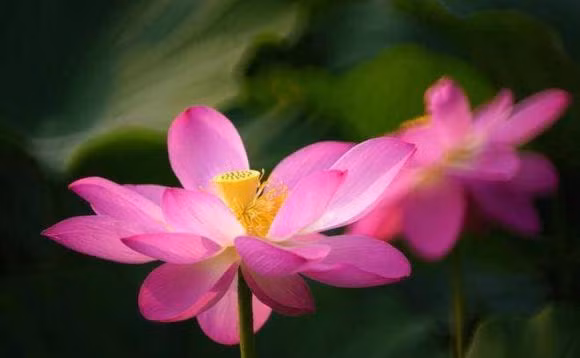  Đầu tiên, không tiết lộ thu nhập và tài sản của gia đình bạn. Ngoài đời, dù bạn có kiếm được bao nhiêu hay gia đình nắm giữ bao nhiêu thì cũng đừng tiết lộ với người thân.