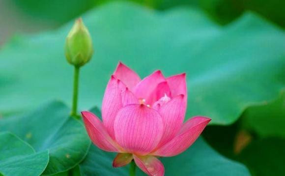 Vì vậy, dù mối quan hệ của bạn với người thân tốt đến đâu cũng đừng để lộ chuyện tiền bạc của mình để tránh những rắc rối không đáng có.