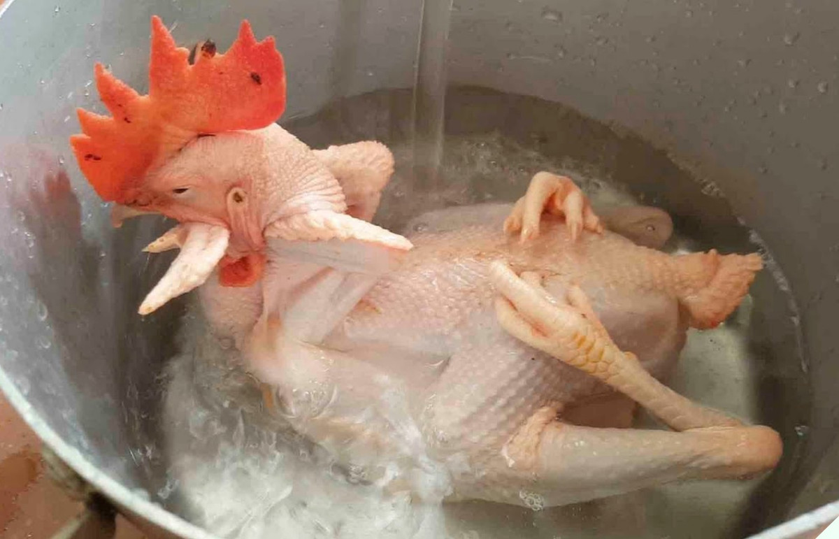 Luộc gà ngon, thịt ngọt, da giòn sần sật nhớ cho thêm thứ này - Hình 7 Luoc ga ngon, thit ngot, da gion san sat nho cho them thu nay-Hinh-7