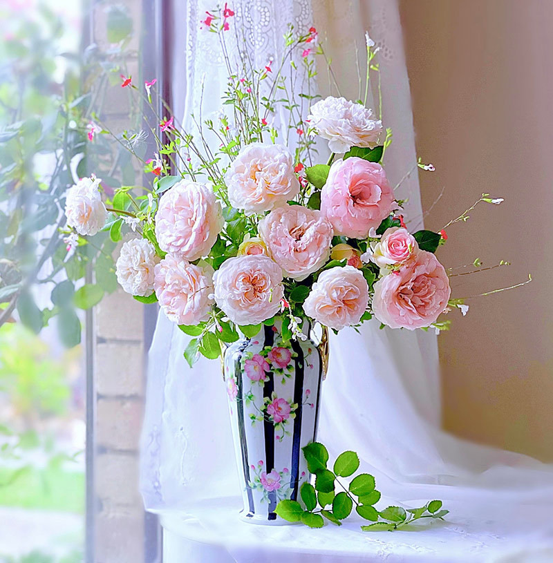 Sau đó, những người thân của nam thanh niên biết rằng nam thanh niên đã kiếm được tiền, họ đã vay tiền của nam thanh niên dù số tiền lớn hay nhỏ, vì điều này mà thanh niên này rất khốn khổ. Tất nhiên, nếu người thân đang cần tiền gấp thì phải giúp, nhưng những người thân đó lại nhờ anh ta vay tiền vì một số việc vặt vãnh.