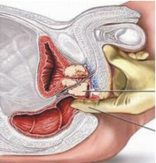 Ảnh chỉ mang tính chất minh họa. Ảnh chỉ mang tính chất minh họa.
