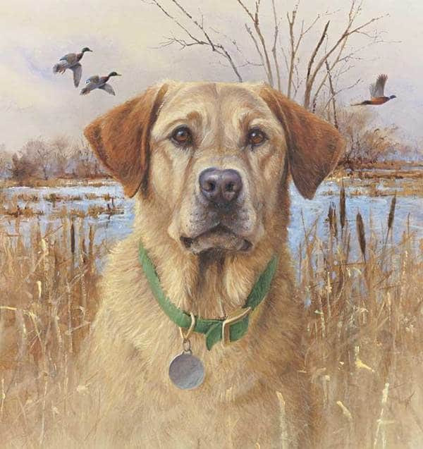 3 con giap thang 9 trung so, thang 10 phat tai, giau len khung khiep-Hinh-3