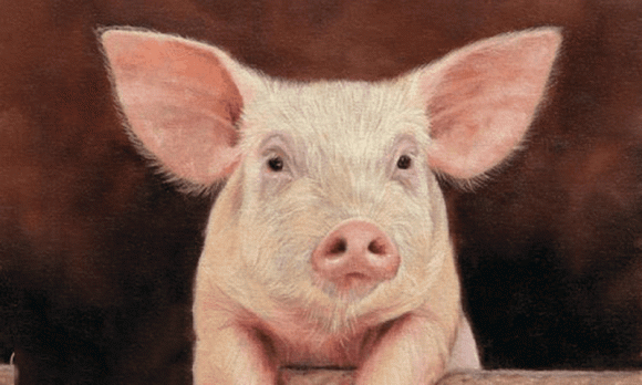  Tuổi Hợi. Trời sinh tuổi Hợi có tính cách hiền lành, nhân hậu, luôn sống dĩ hòa vi quý nên được mọi người yêu thương hết mực.