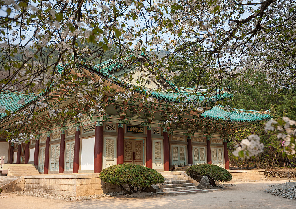 Trải qua 1.000 năm, chùa từng bị tàn phá nhiều lần bởi chiến tranh. Phải trải qua nhiều lần trùng tu, chùa mới lưu giữ được diện mạo kiến trúc tuyệt đẹp cho đến ngày nay.