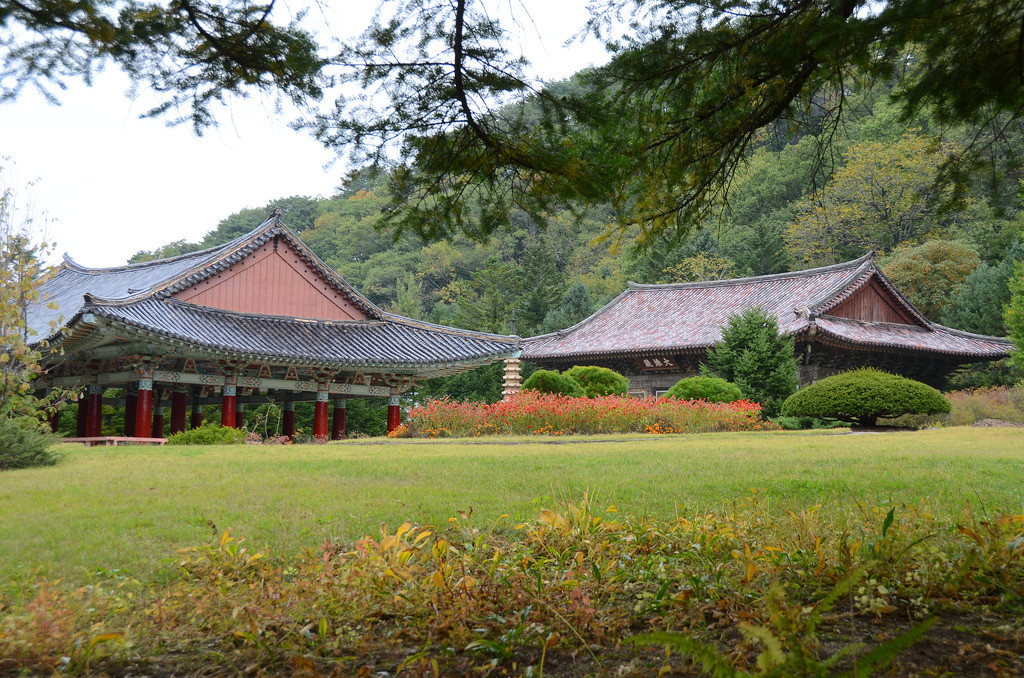 Chùa Pohyon được thiết kế chạy dọc dài theo trục trung tâm dẫn đến chánh điện Taeung. Xung quanh là những hàng cây, bãi cỏ, chen lẫn những tòa nhà lớn nhỏ khác nhau.