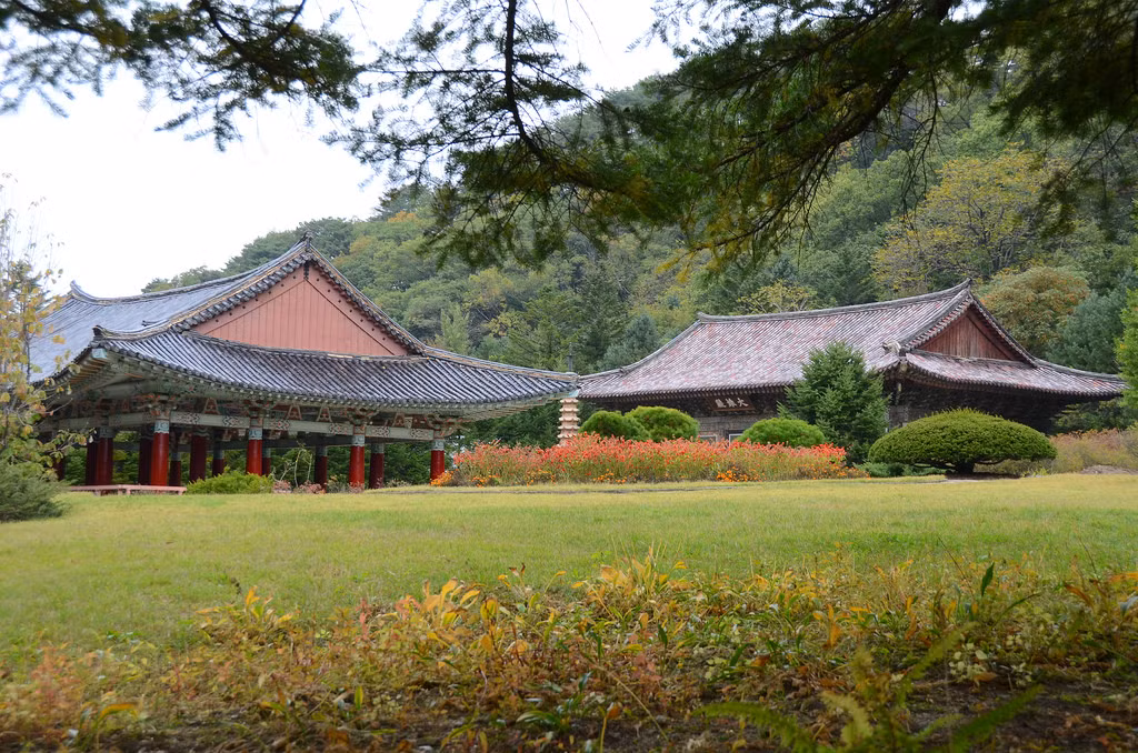 Chùa Pohyon được thiết kế chạy dọc dài theo trục trung tâm dẫn đến chánh điện Taeung. Xung quanh là những hàng cây, bãi cỏ, chen lẫn những tòa nhà lớn nhỏ khác nhau.