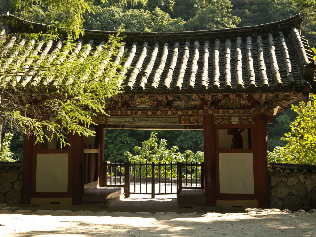 Năm 1951, khi Chiến tranh Triều Tiên nổ ra, chùa Pohyon đã bị quân đội Mỹ đánh bom, phá huỷ một nửa trong số 24 toà nhà.