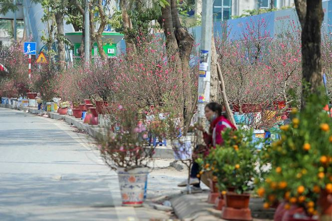 Trên vỉa hè đường Láng, các tiểu thương ngồi chờ mòn mỏi người đến mua.