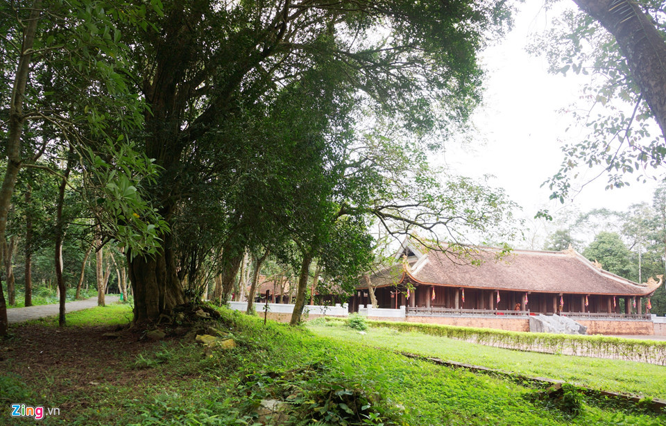 Nằm bên phải chính điện Lam Kinh là cụm cây duối (tên địa phương gọi là cây rưới) 300 tuổi. Theo Ban quản lý di tích, vào năm 1788, khi bức thành nội phía Tây sụp đổ, cây duối mọc lên trên nền bức tường.