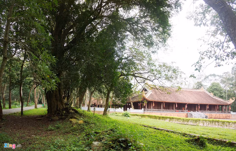 Nằm bên phải chính điện Lam Kinh là cụm cây duối (tên địa phương gọi là cây rưới) 300 tuổi. Theo Ban quản lý di tích, vào năm 1788, khi bức thành nội phía Tây sụp đổ, cây duối mọc lên trên nền bức tường.