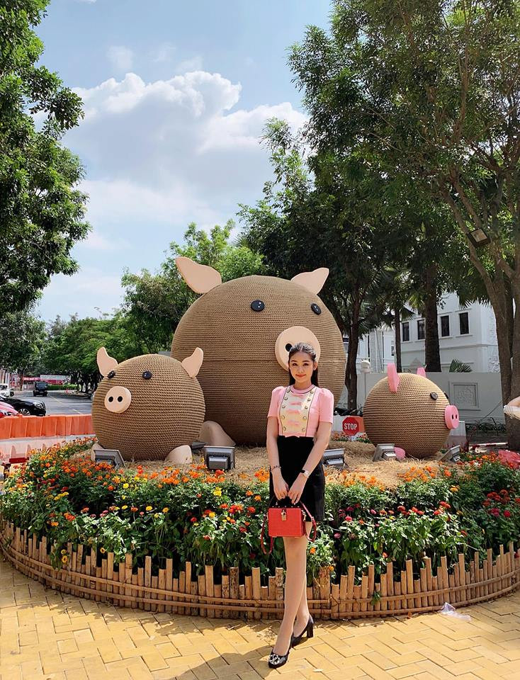 Lê Âu Ngân Anh trưng cầu dân ý: "Đếm xem có bao nhiêu bạn heo trong hình nào".