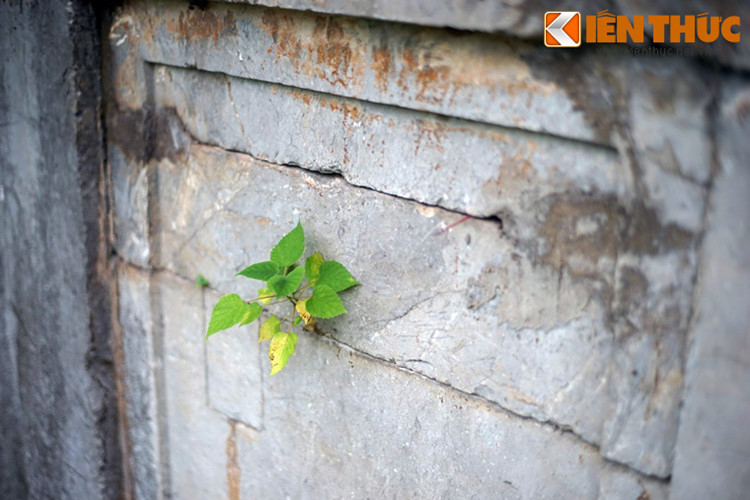 Các nhà nghiên cứu nhận định, lặng mộ đá cổ này có thể là nơi an nghỉ của bà chúa Nguyễn Thị Hoa Dung, vợ chúa Trịnh Doanh, mẹ chúa Trịnh Sâm. Sau ngày khai quật, thi hài người phụ nữ đã được trả về chỗ cũ. Danh phận của bà vẫn chưa được chính thức xác nhận cho đến ngày nay.