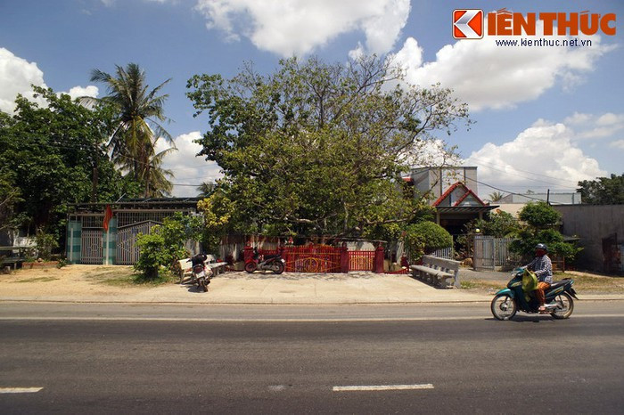 3. Bên vệ đường quốc lộ 1A thuộc phường Ba Ngòi, thành phố Cam Ranh, tỉnh Khánh Hòa có một ngôi mộ cổ rất đặc biệt. Người dân địa phương không biết mộ này là của ai, được xây từ khi nào, chỉ biết rằng từ nhiều thập niên qua khu mộ đã được gọi là mộ Tướng Quân hay mộ Ông Tướng.