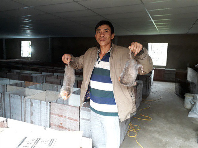 Thu 6 ty dong moi nam tu...20 cap chuot