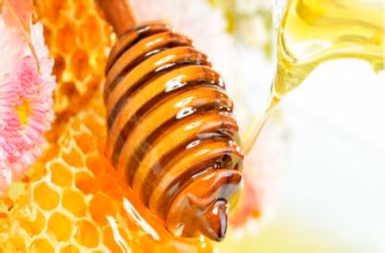 Sữa ong chúa. Những phát hiện mới cho thấy trong sữa ong chúa có một loại axit lactic đặc biệt, có tác dụng rất tuyệt vời trong phòng chống ung thư.