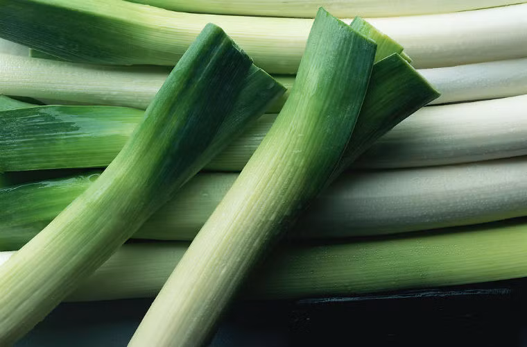 Họ nhà hành. Bao gồm tỏi, hành tây, hành lá, có thể ngăn chặn ung thư đại tràng, ung thư dạ dày, ung thư phổi, ung thư gan và một số ung thư nội tạng khác. Có một thành phần trong tỏi có khả năng ngăn chặn sự lan rộng của tế bào ung thư. Ngoài ra Sulfide có trong tỏi có thể kích hoạt chức năng miễn dịch của cơ thể, giúp chống lại bệnh ung thư.