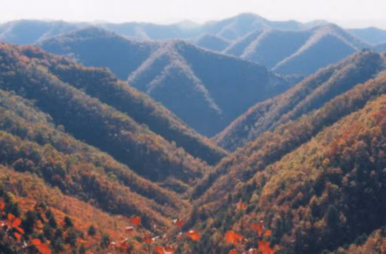 Cảm thấy chưa yên tâm, họ còn xây thêm 1 tòa “tháp cao” trên lăng chỉ. Tuy đã tính toán kỹ lưỡng, thuật phong thủy cao siêu nhưng triều Minh đã quên mất một điều vô cùng quan trọng rằng bánh xe lịch sử luôn hướng về phía trước, khi khí số của giang sơn đại Minh đã tận chỉ, dựa vào triệt long mạch của tộc Nữ Chân để bảo vệ giang sơn chỉ là chuyện hết sức hoang đường. Nói cách khác theo thuyết phong thủy thì nơi vùng đất bao la rộng lớn phía đông bắc thì long mạch quyết định sự phát triển cho tương lai của hậu Kim có lẽ đã không còn nằm ở Kim đế vương lăng nữa mà đã chuyển đến nơi nào cũng chưa hay.