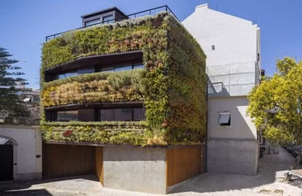 Những ngôi nhà được bao bọc bởi hoa cỏ.