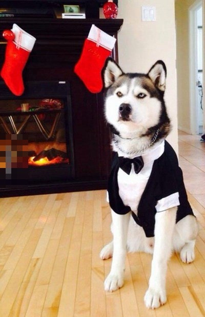 Chuẩn bị đi chơi Noel.