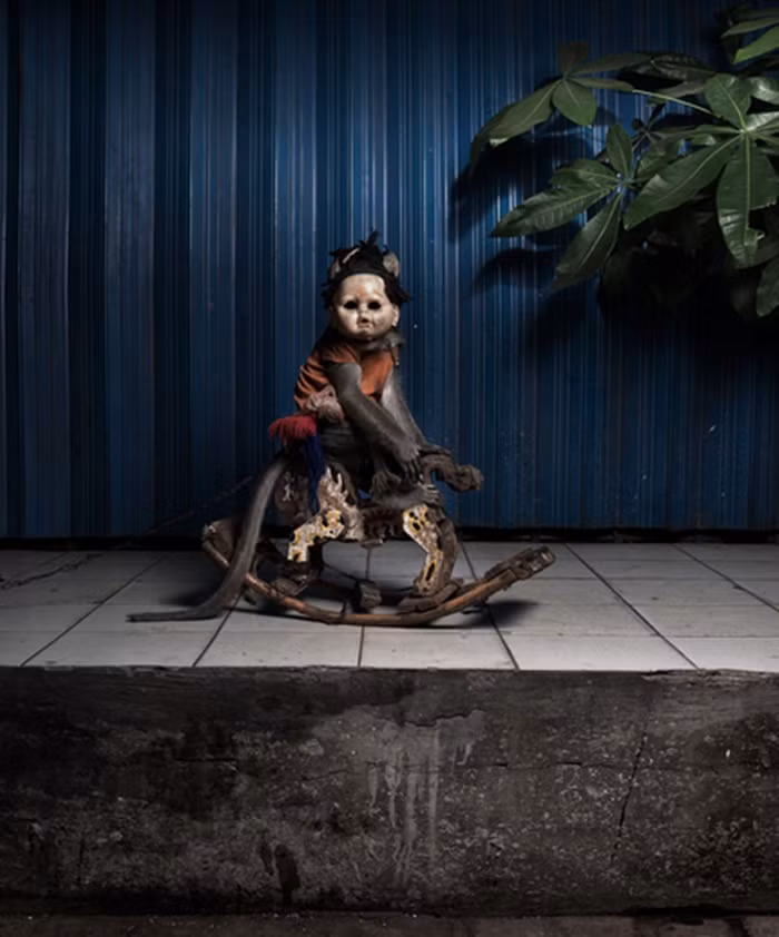 Nhưng bằng những tác phẩm của mình, nhiếp ảnh gia Perttu Saksa muốn truyền tải một ý nghĩa lan rộng ra nhiều nơi trên thế giới về việc bảo vệ động vật.