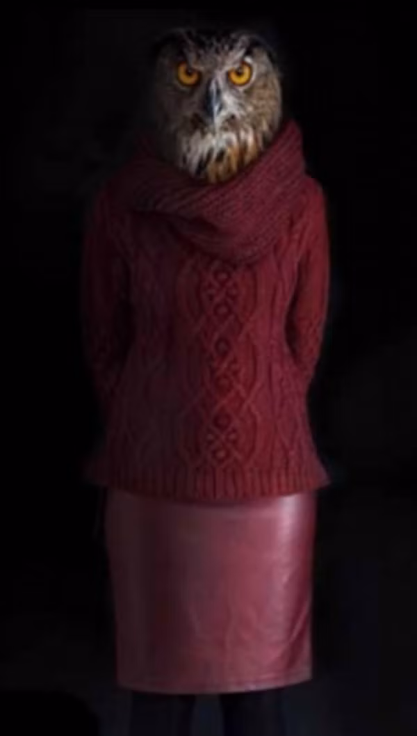 Chim cú mèo "diện" chiếc áo len đỏ và váy hồng.