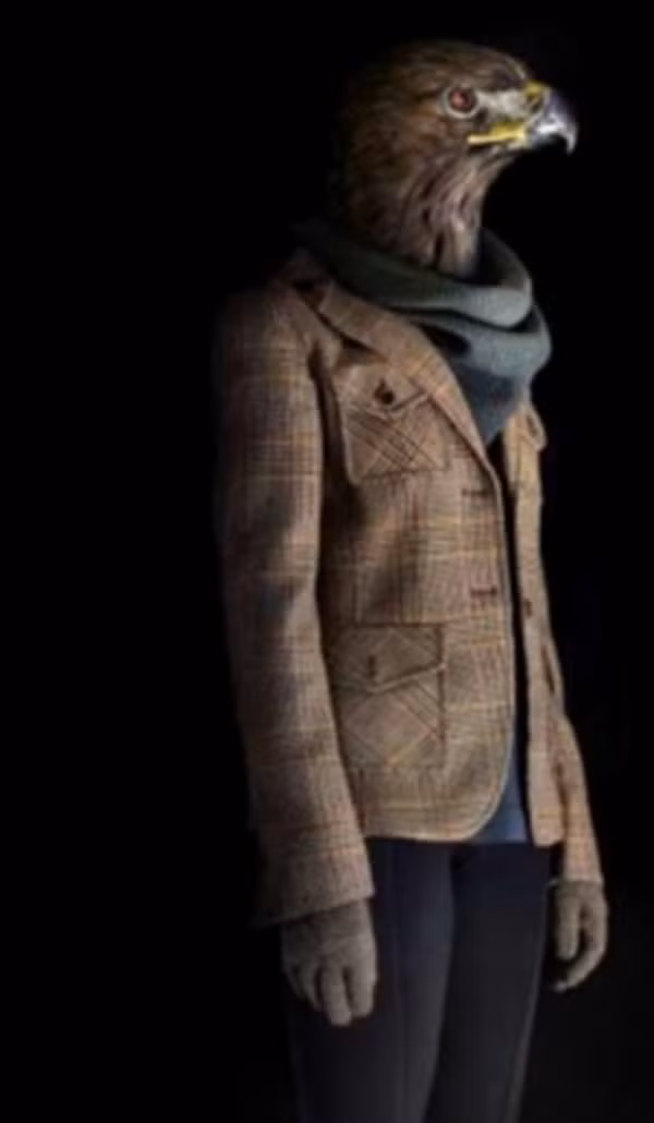 "Mùa đông không lạnh"