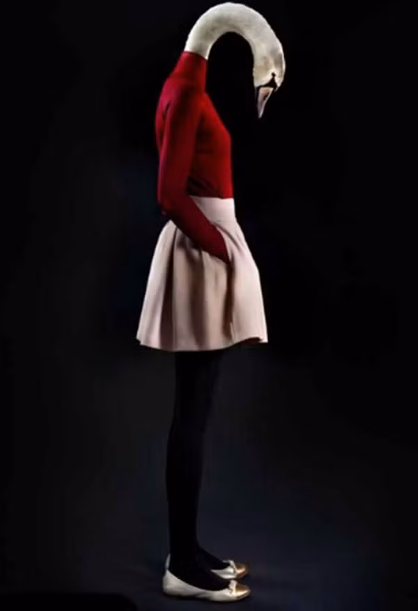 Một chú ngỗng "mặc váy".