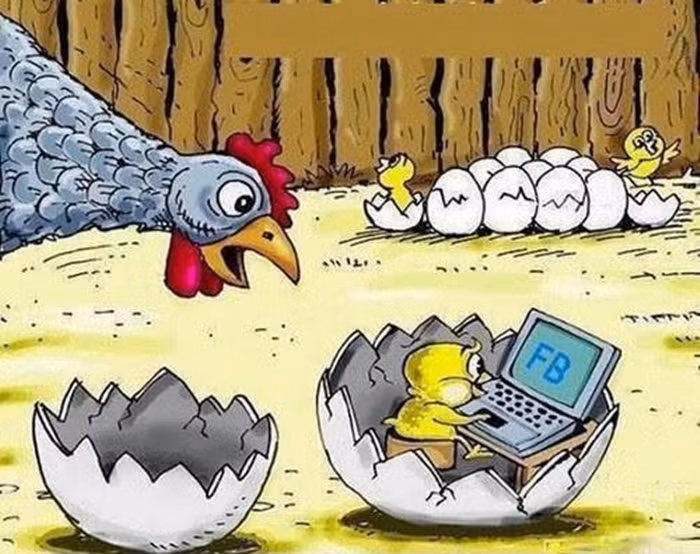 "Nghiện" Facebook từ khi còn trong trứng.