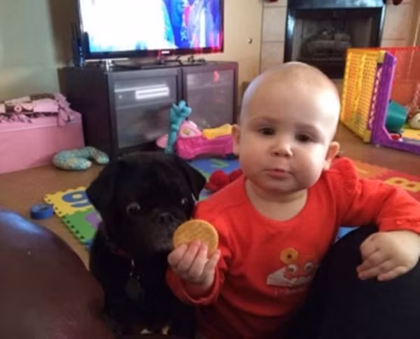 "Cẩn thận chiếc bánh, không có kẻ đang thòm thèm".