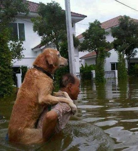 "Sống trên đời, cần có một tấm lòng yêu thương"