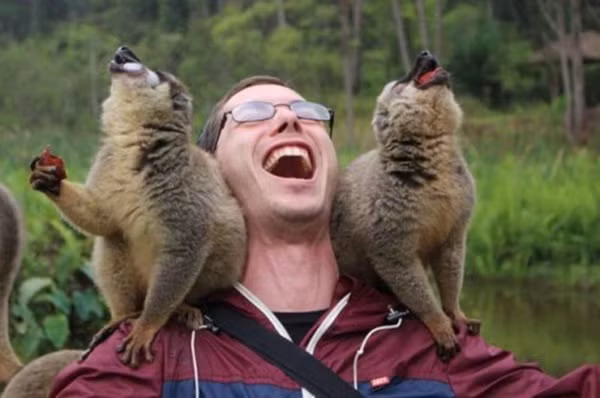 Điệu cười sảng khoái.