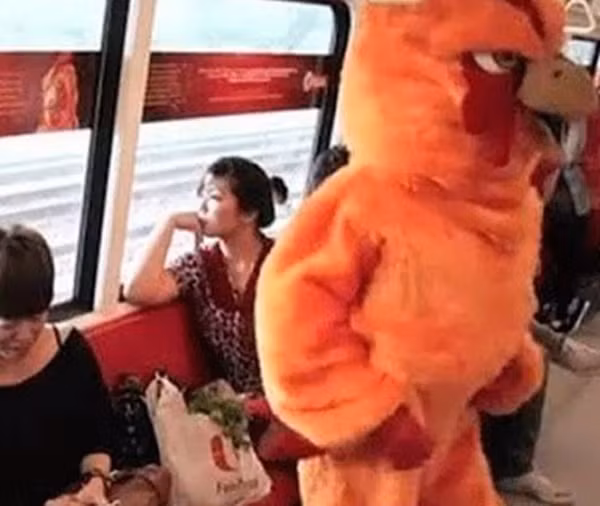 "Chú gà khổng lồ" thấy chướng mắt...