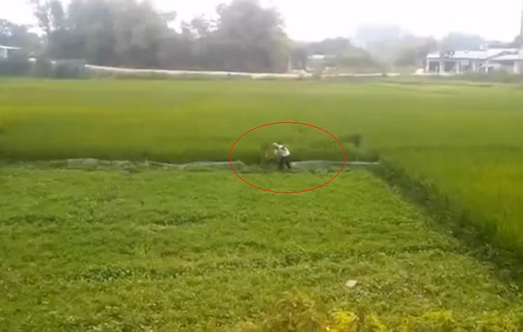 Tên trộm chạy xuống phía đồng ruộng định tẩu thoát, nhưng bị người dân đuổi theo và bắt lại.