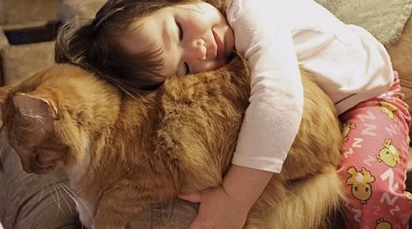 "Chúng ta đi ngủ thôi nào".