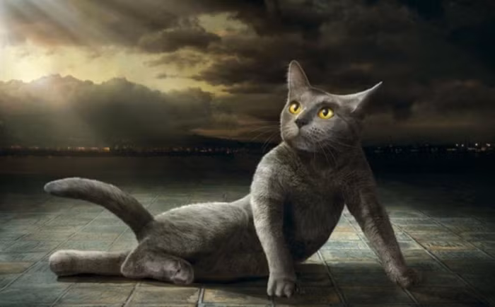 "Tạo dáng quyến rũ".