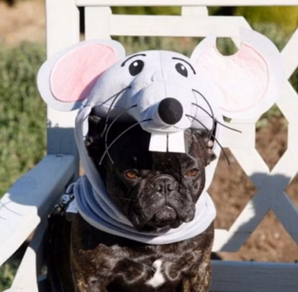 "Mới sắm được chiếc mũ cute"