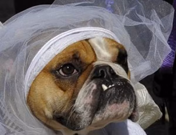 "Hóa trang thế này có giống ma nữ không?"