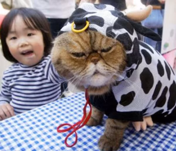 "Không giống tôi".