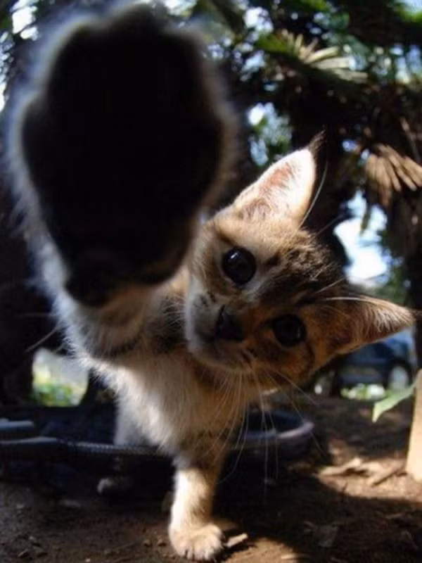 "Đừng chụp ảnh, em ngại lắm".