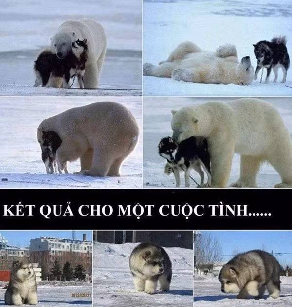 "Kết quả cho một cuộc tình".